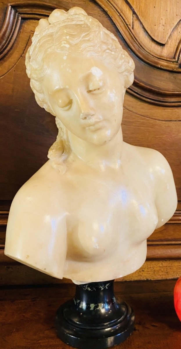 Antique-style Bust Of Venus In Translucent Marble - Souvenir Du Grand Tour, 19th Century