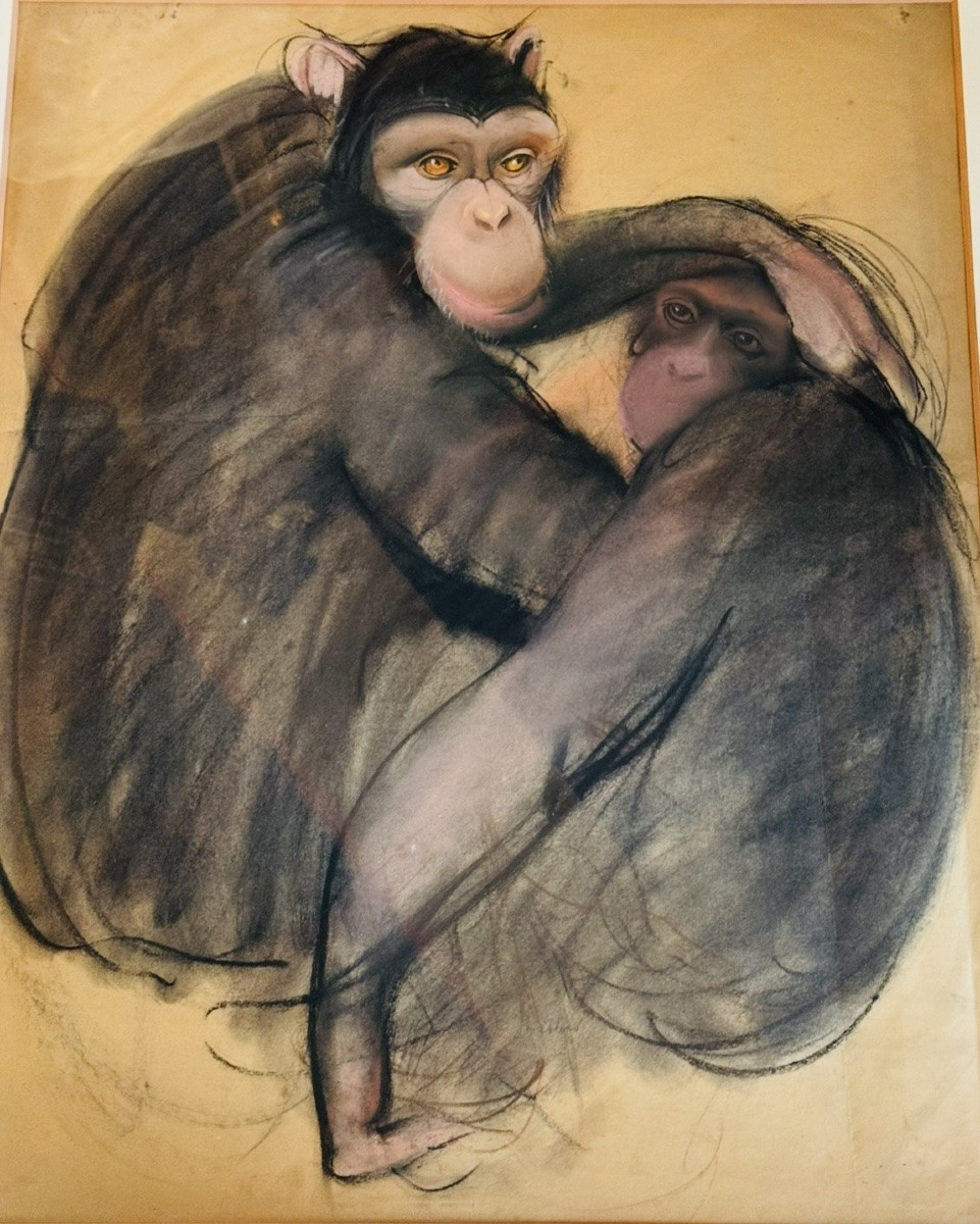 DESSIN DEUX CHIMPANZÉS ENLACÉS – TECHNIQUE MIXTE SUR PAPIER – XXe SIÈCLE-photo-1