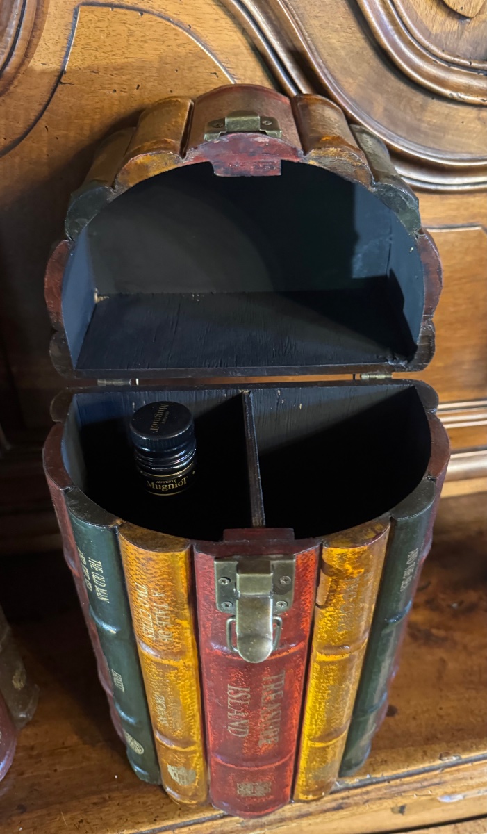 Pair Of Storage Boxes Shaped Like Fake Books - English Library Decor - Year-photo-6
