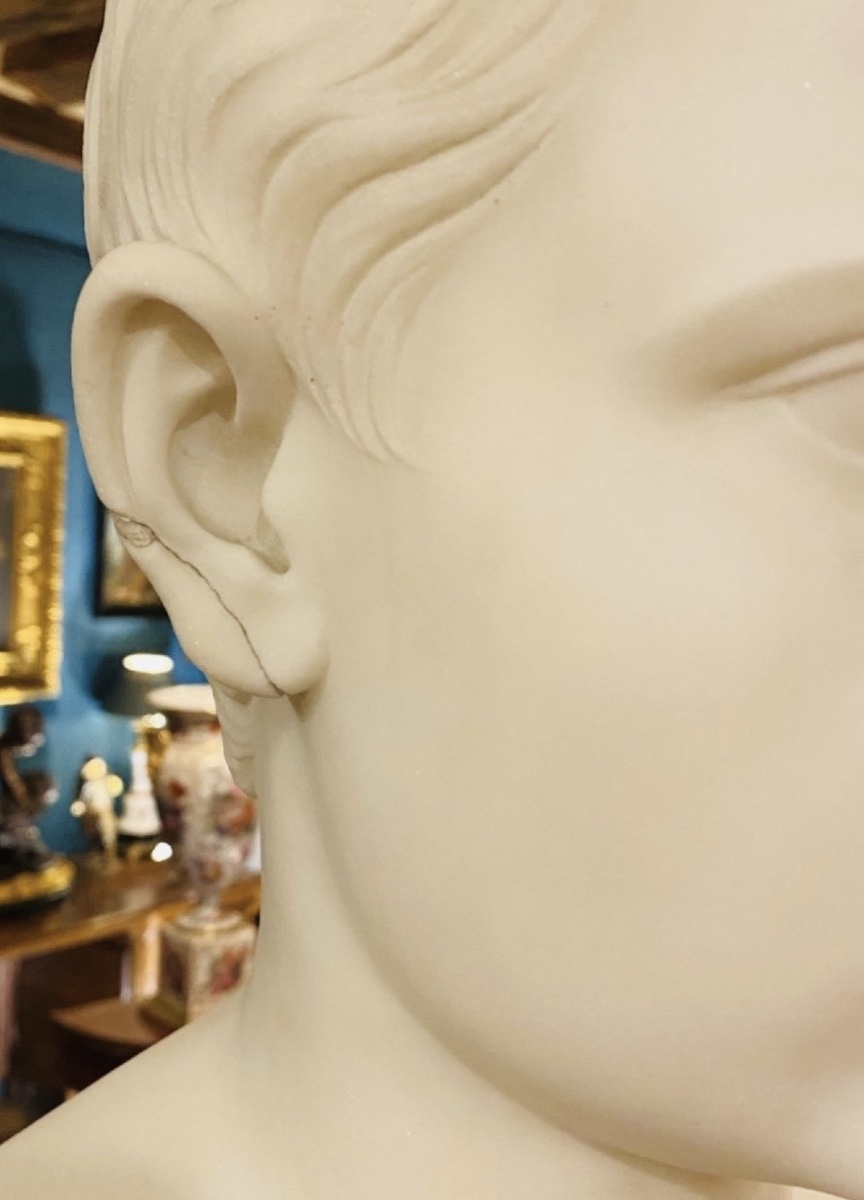 Gaius Octavius, Future Emperor Augustus – Large Bust In Carrara Marble, Grand Tour, Circa 183-photo-6