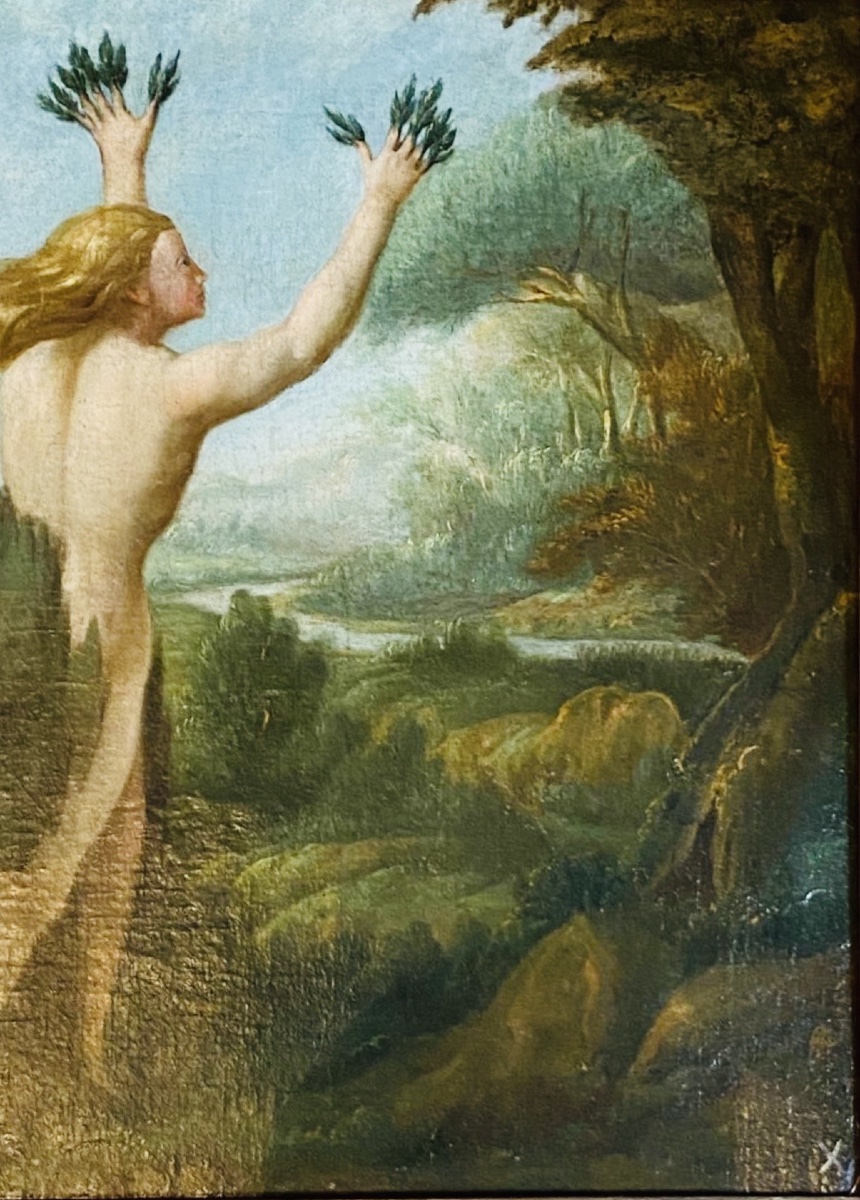 Apollo And Daphne, A Large Oil-on-canvas Painting From The Late 17th Century Based On The Metamorphoses By-photo-3