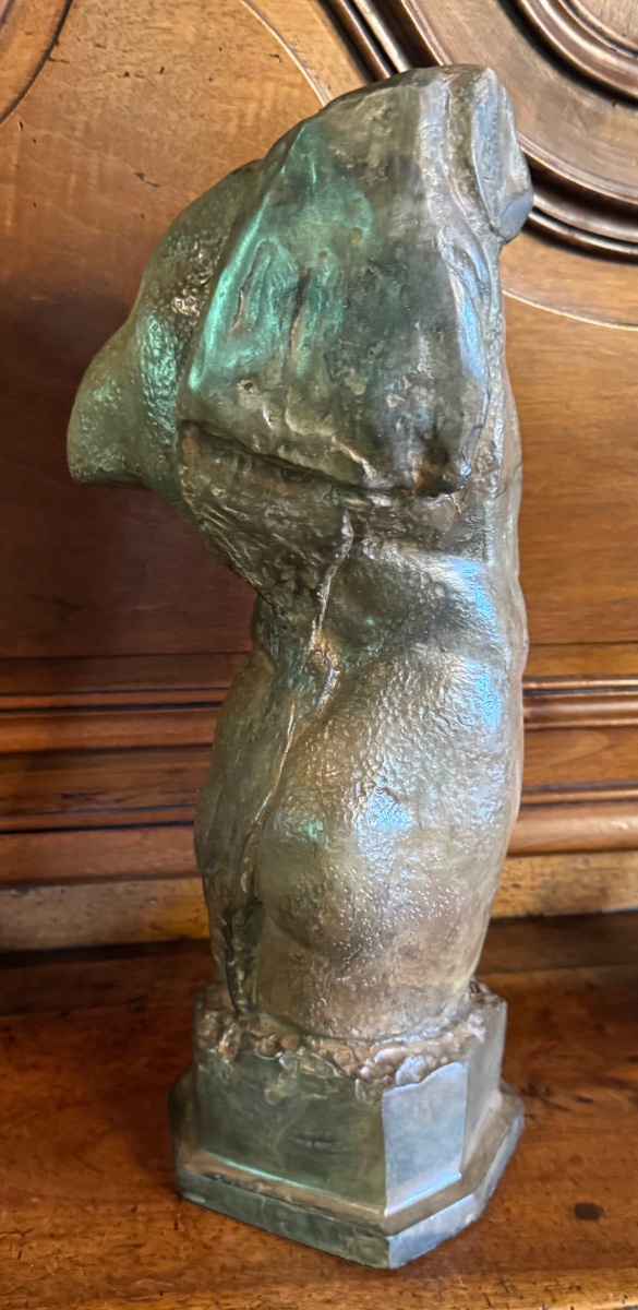 TORSE D'HOMME À L'ANTIQUE, BRONZE À PATINE NUANCÉE PAR PIERRE CHENET-photo-3