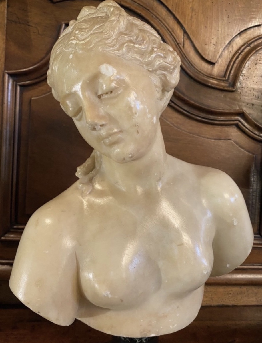 Antique-style Bust Of Venus In Translucent Marble — Souvenir From The Grand Tour, 19th Century-photo-3