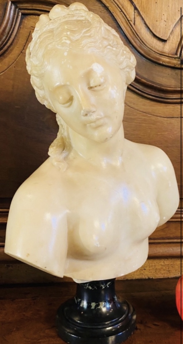Antique-style Bust Of Venus In Translucent Marble — Souvenir From The Grand Tour, 19th Century-photo-4