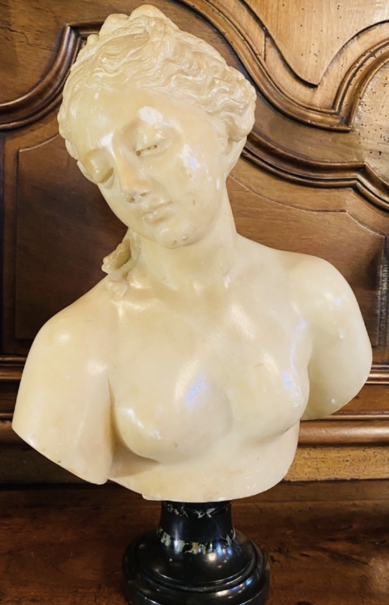 Antique-style Bust Of Venus In Translucent Marble — Souvenir From The Grand Tour, 19th Century-photo-1