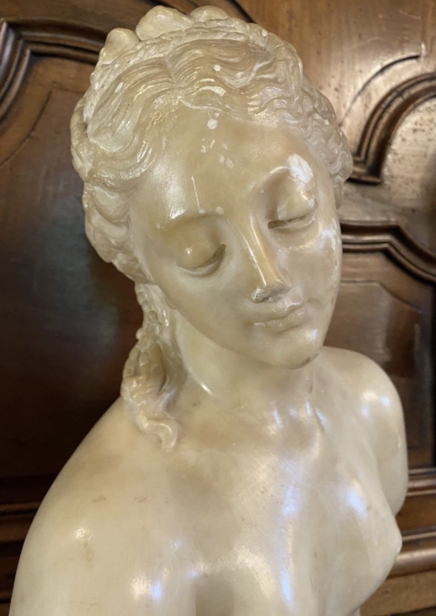 Antique-style Bust Of Venus In Translucent Marble — Souvenir From The Grand Tour, 19th Century-photo-2