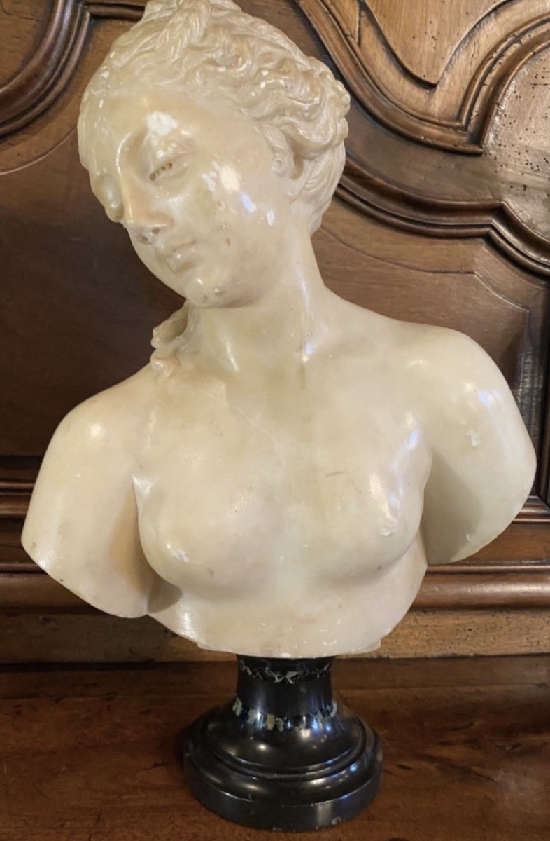 Antique-style Bust Of Venus In Translucent Marble — Souvenir From The Grand Tour, 19th Century-photo-3