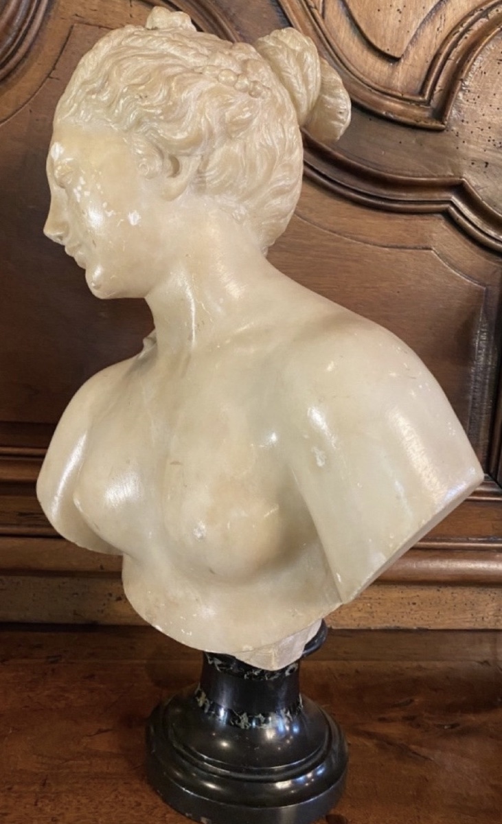 Antique-style Bust Of Venus In Translucent Marble — Souvenir From The Grand Tour, 19th Century-photo-4