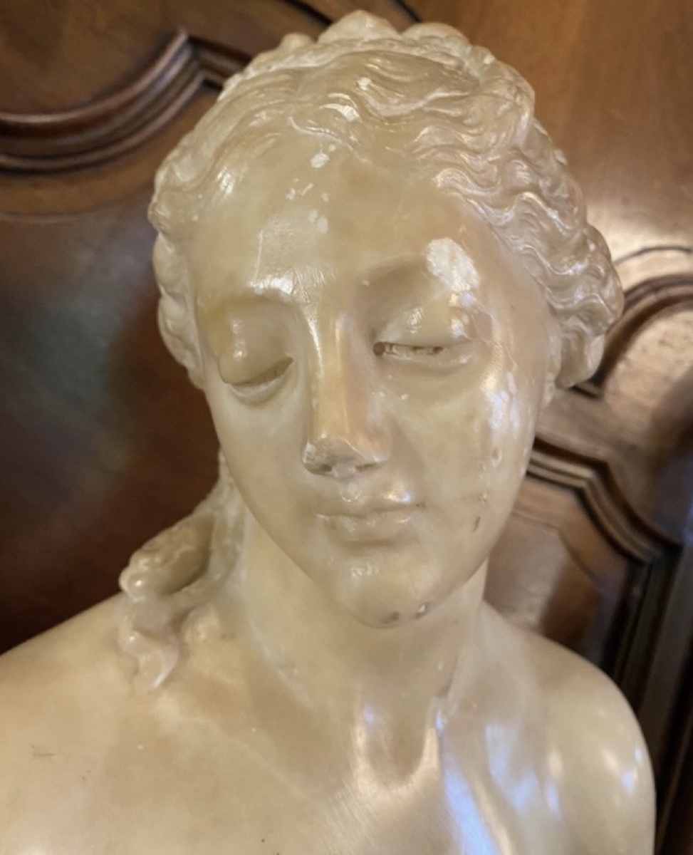 Antique-style Bust Of Venus In Translucent Marble — Souvenir From The Grand Tour, 19th Century-photo-7