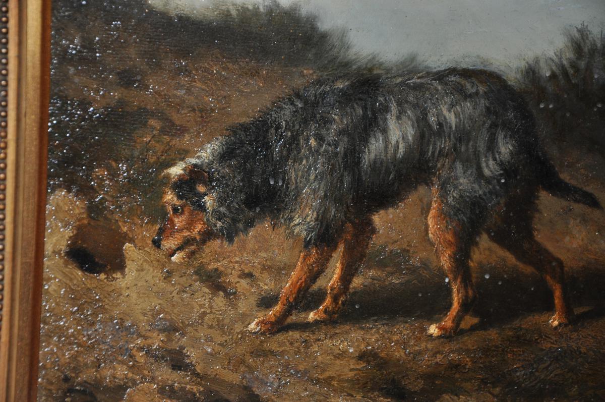 Oil On Canvas "hunting Dog "-photo-3