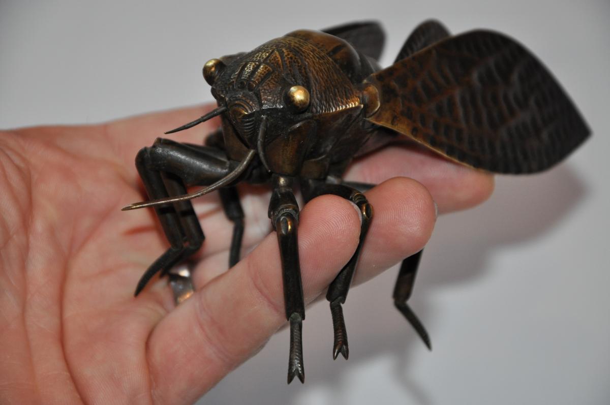 Jizai Okimono, Great Cicada Articulated, Japan Meiji Era-photo-2
