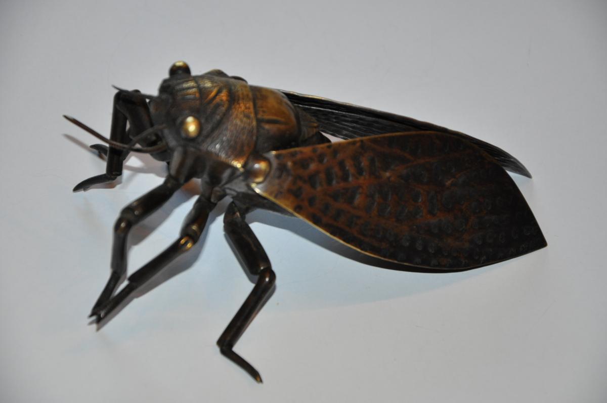Jizai Okimono, Great Cicada Articulated, Japan Meiji Era-photo-5