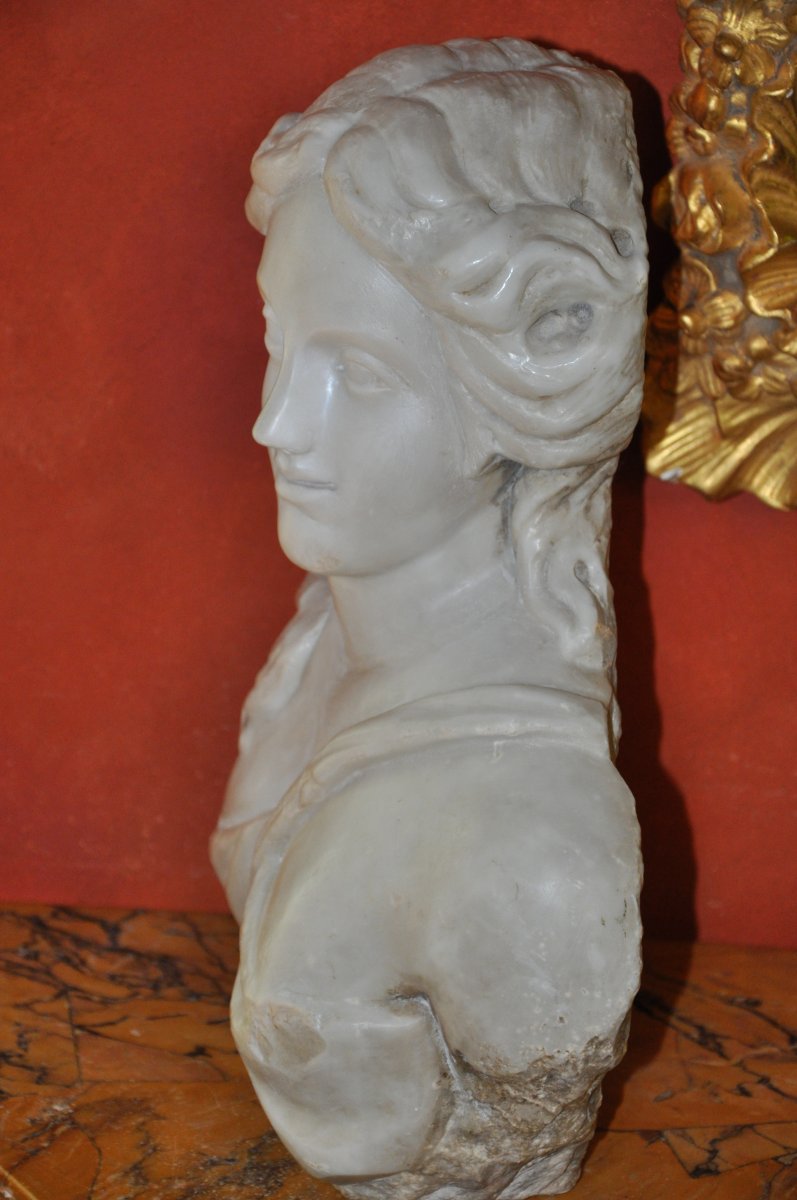 Woman Bust In Marble Louis XIV Period, Formant Term Or Cariatide-photo-3