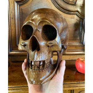 Skull, Vanity, Memento Mori From The 19th Century In Natural Wood 