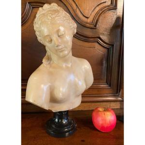 Antique Bust Of Young Woman, Grand Tour Marble, 19th Century 