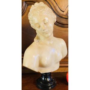 Antique-style Bust Of Venus In Translucent Marble - Souvenir Du Grand Tour, 19th Century