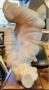 1771979-6a2138c29d0db.jpg