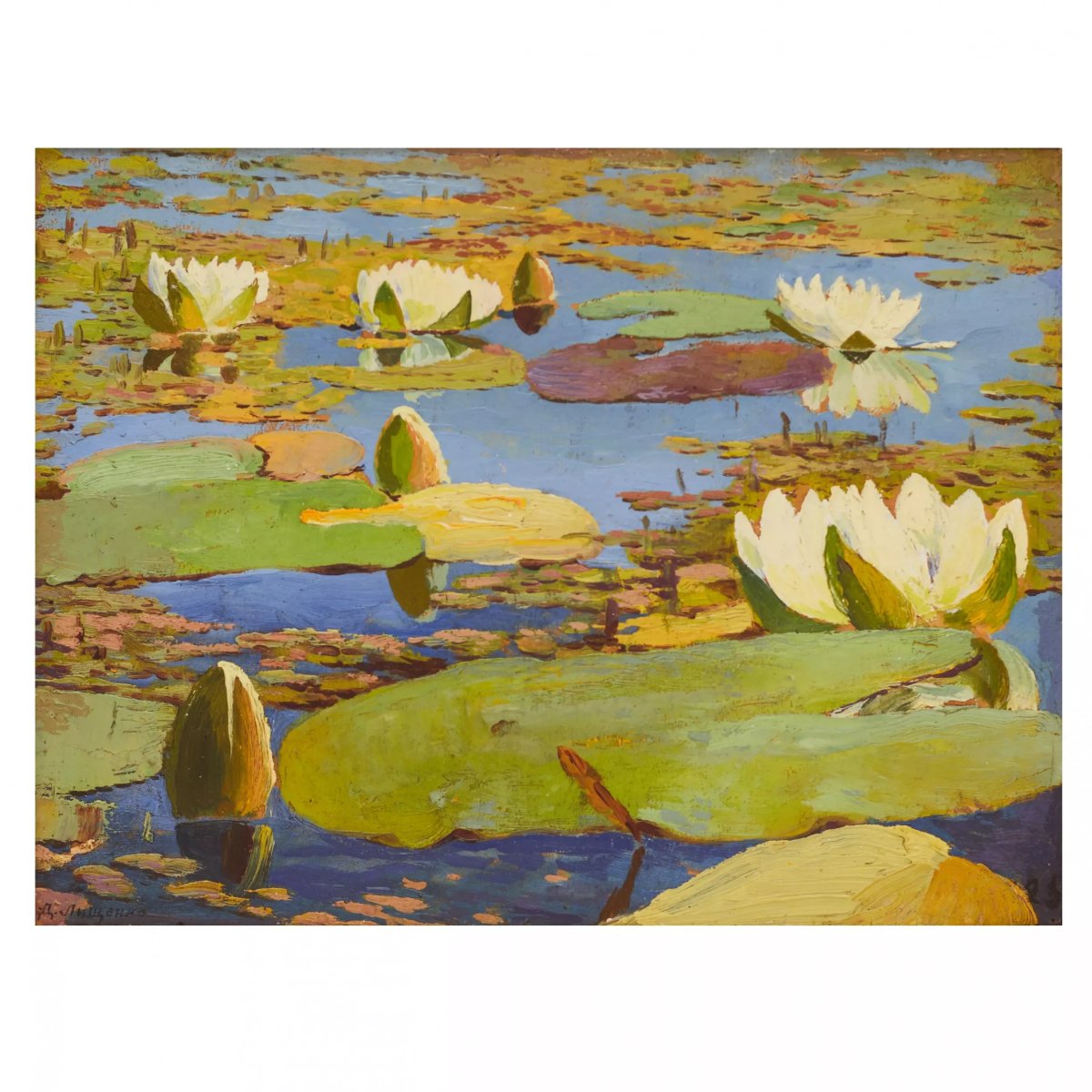 NÉNUPHARS (NYMPHÉAS) D.A. LITCHENKO, 1925-photo-2