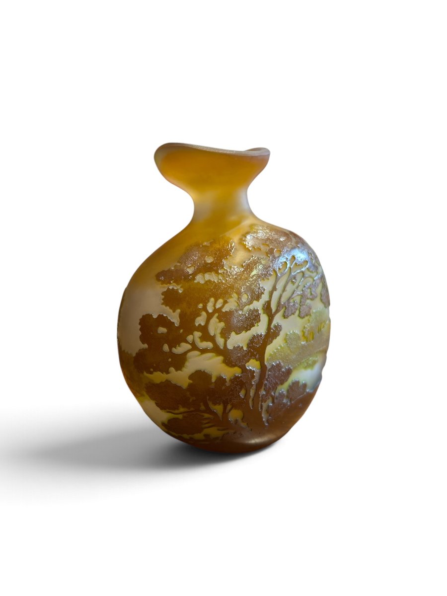 Emile Galle - Multilayered Glass Vase, Late 19th–early 20th Century-photo-2