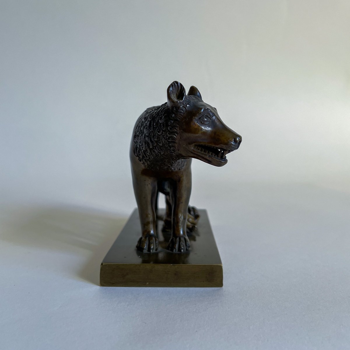 After Antonio Pollaiuolo, Capitoline Wolf, Italy Bronze Rome Souvenir Grand Tour 19th Century -photo-4