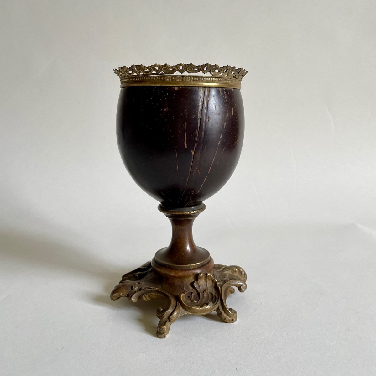 Kunstkammer Curiosity Cabinet Coconut Cup Bronze Louis XV Naturalia Late 19th Century -photo-2