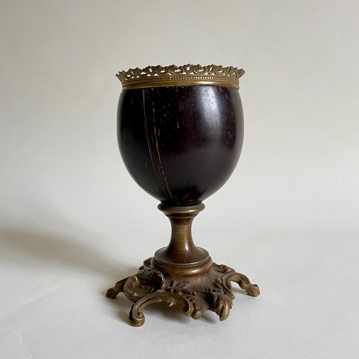 Kunstkammer Curiosity Cabinet Coconut Cup Bronze Louis XV Naturalia Late 19th Century -photo-1