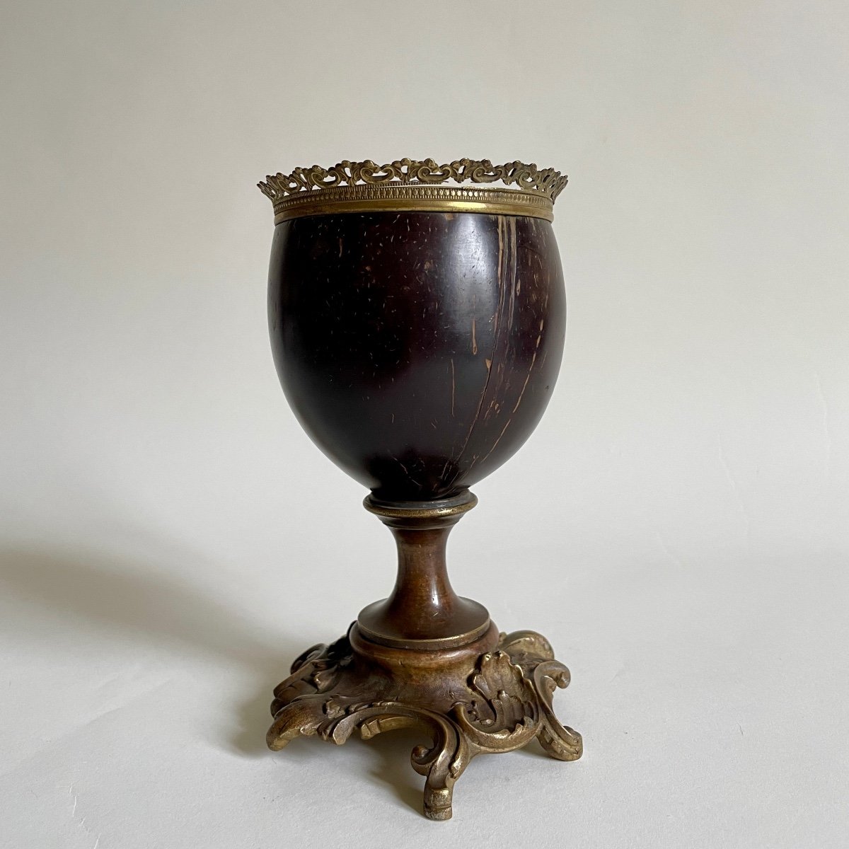 Kunstkammer Curiosity Cabinet Coconut Cup Bronze Louis XV Naturalia Late 19th Century -photo-2