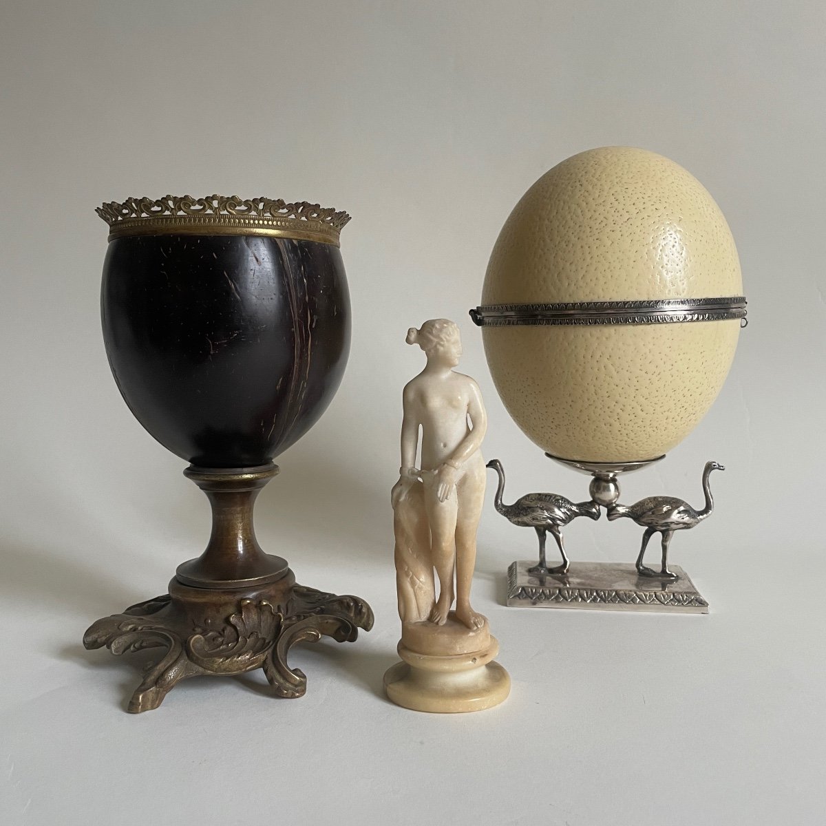 Kunstkammer Curiosity Cabinet Coconut Cup Bronze Louis XV Naturalia Late 19th Century -photo-6