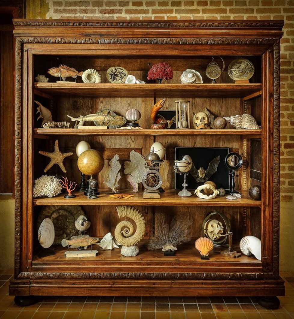 Kunstkammer Curiosity Cabinet Coconut Cup Bronze Louis XV Naturalia Late 19th Century -photo-7