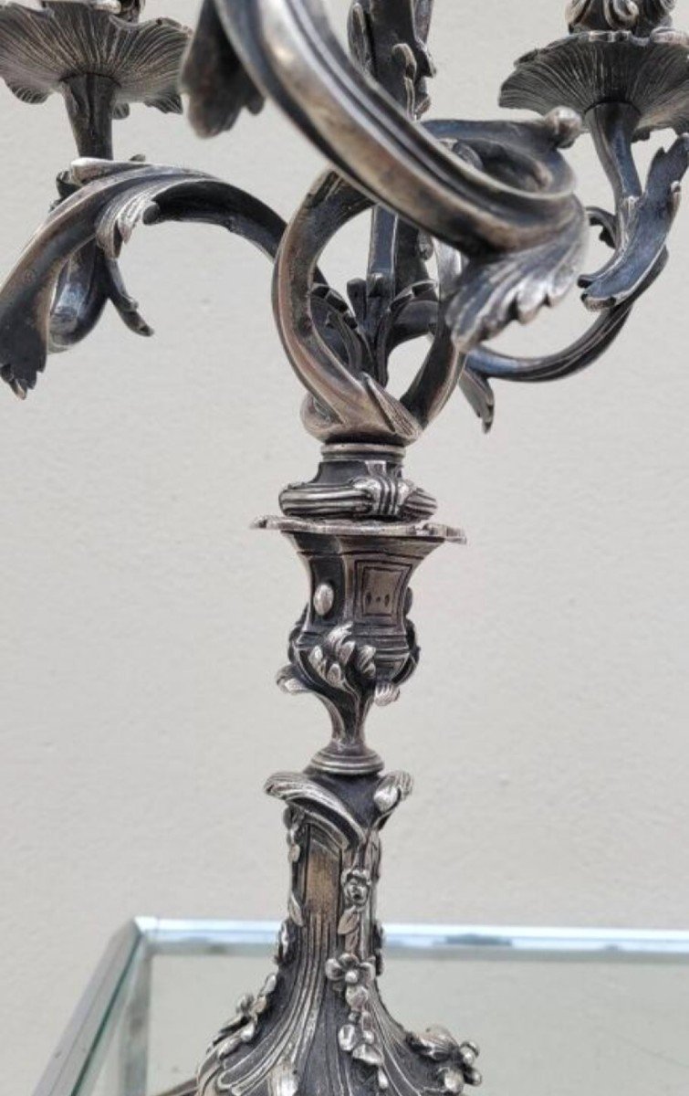 Pair Of Louis XV Candelabra Candlesticks In Silvered Bronze -photo-2