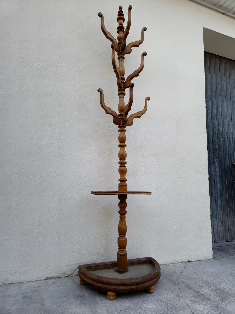 Antique 19th Century Parrot Coat Rack -photo-3