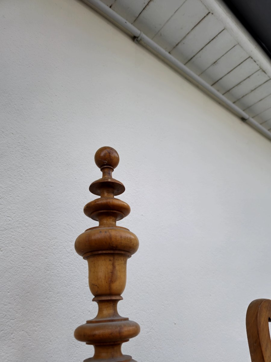 Antique 19th Century Parrot Coat Rack -photo-2