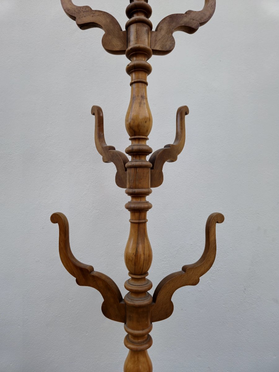 Antique 19th Century Parrot Coat Rack -photo-4