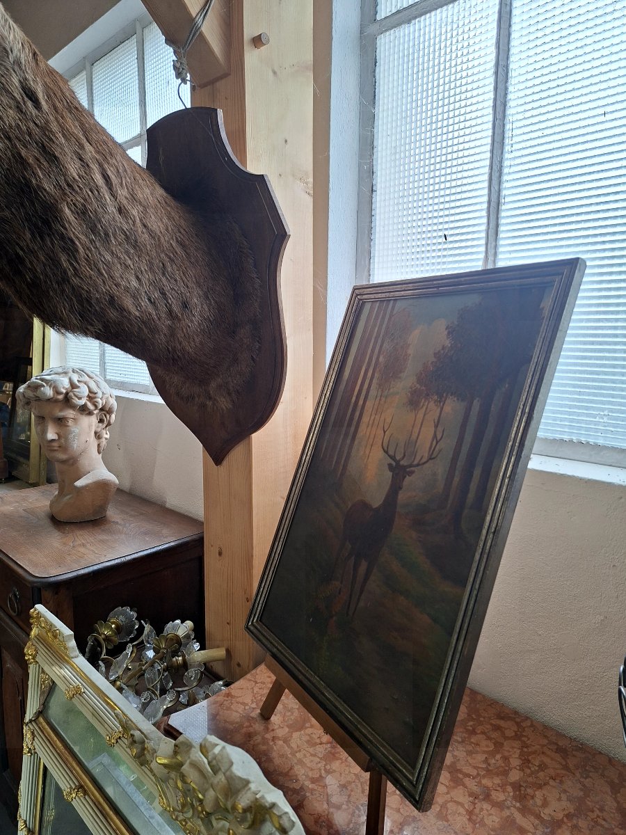 Stuffed Deer Trophy With Mounted Head, 12 Points, Hunting Style-photo-1