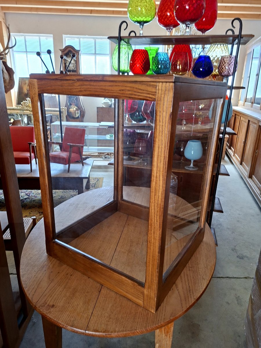 Stuffed Trout In Antique Oak Cabinet Of Curiosity-photo-8