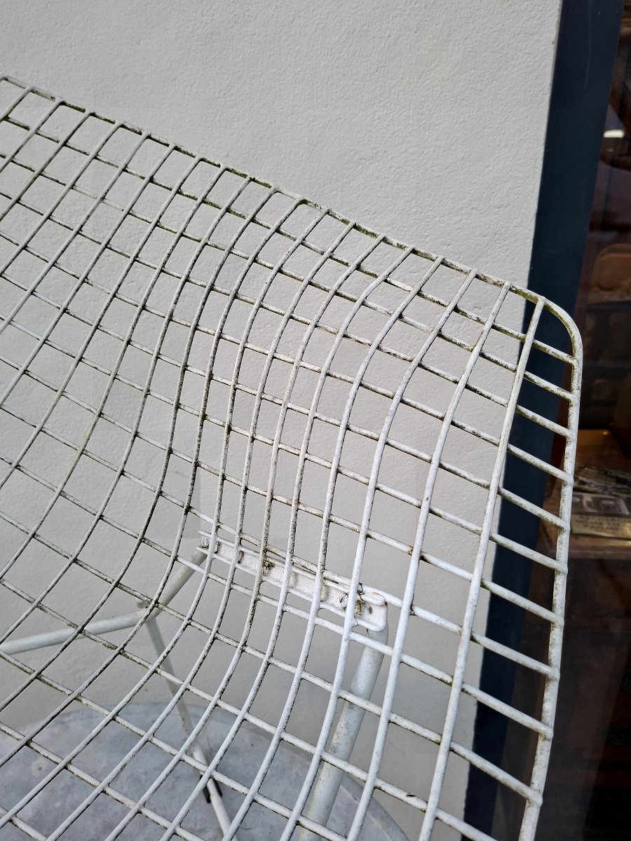 Fauteuil Diamond par Harry Bertoia pour Knoll -photo-6