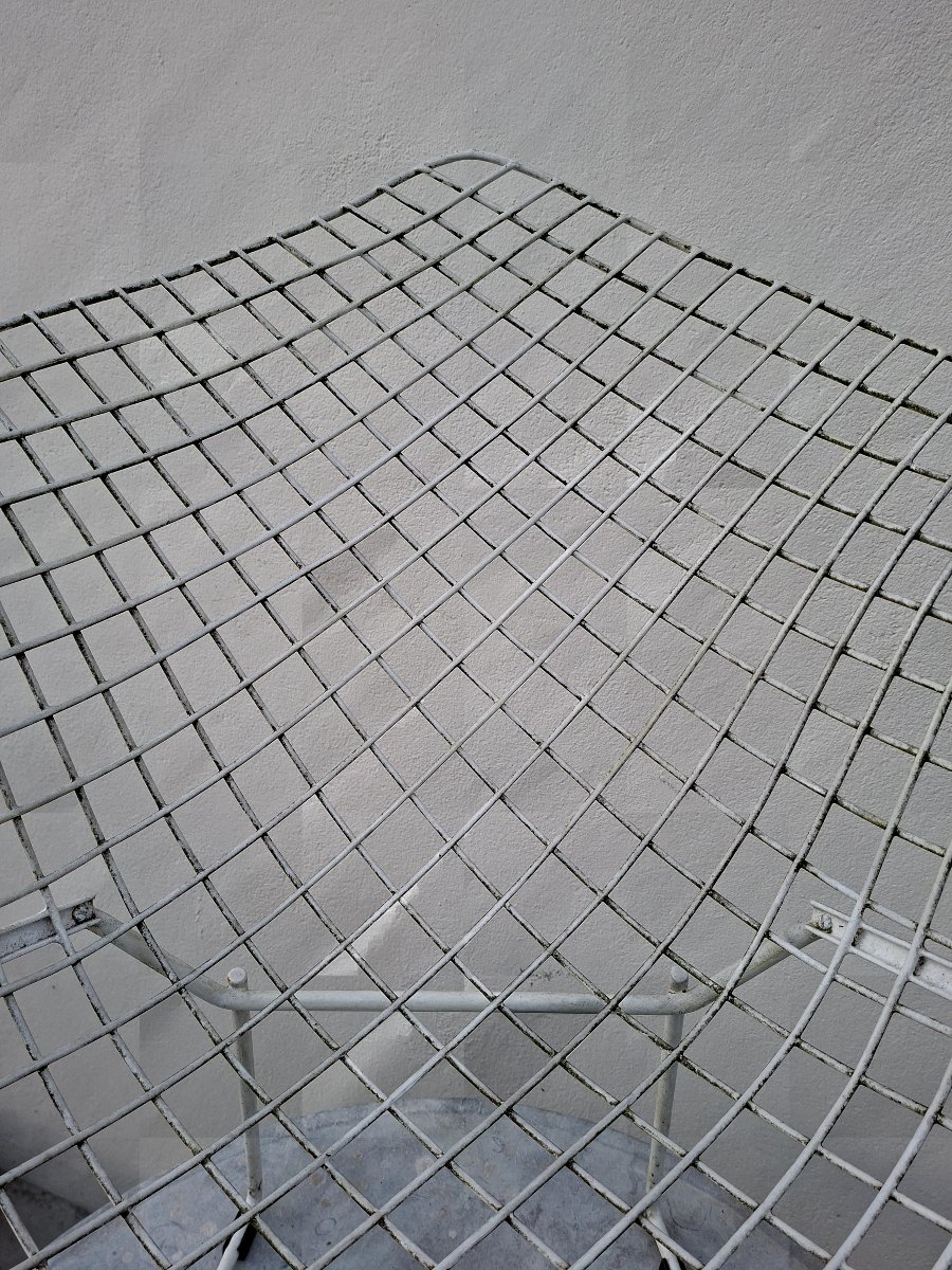 Fauteuil Diamond par Harry Bertoia pour Knoll -photo-7