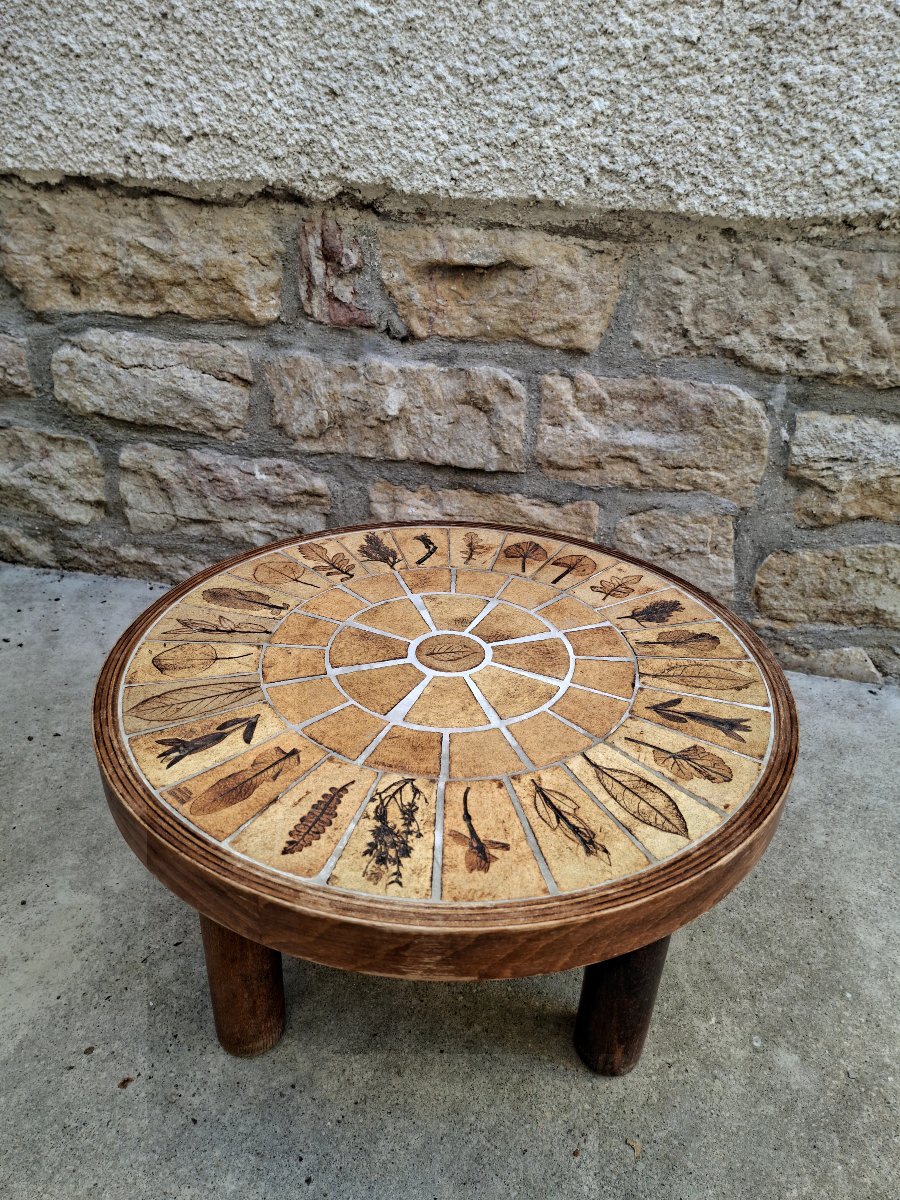 Roger Capron Herbier Coffee Table, Small Size 