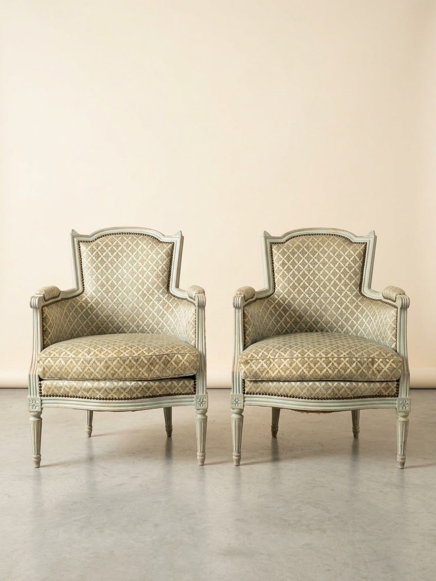 Paire de Fauteuils Bergères cabriolet style Louis XVI patiné ancienne 