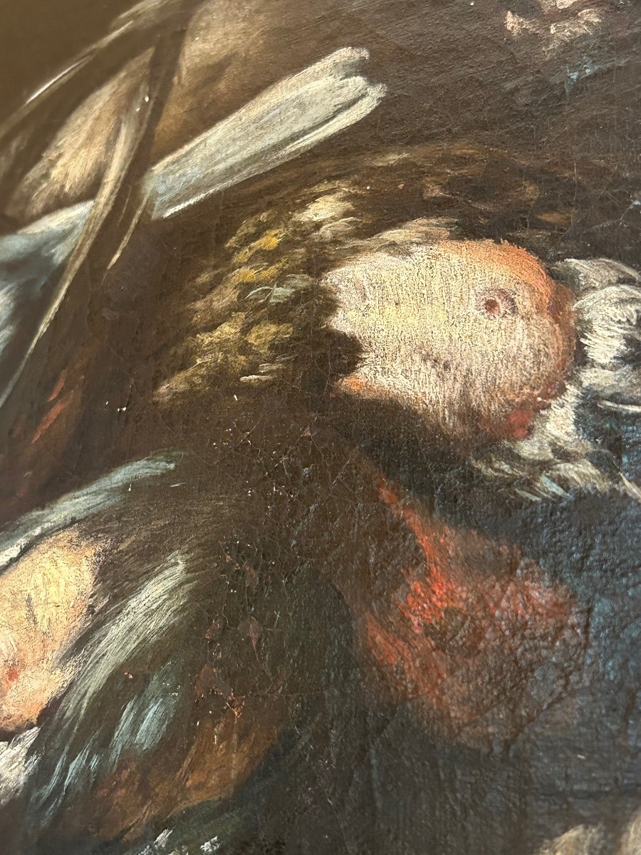 Baldassare De Caro (att.) «  Still Life With Birds » 18th Century.-photo-1