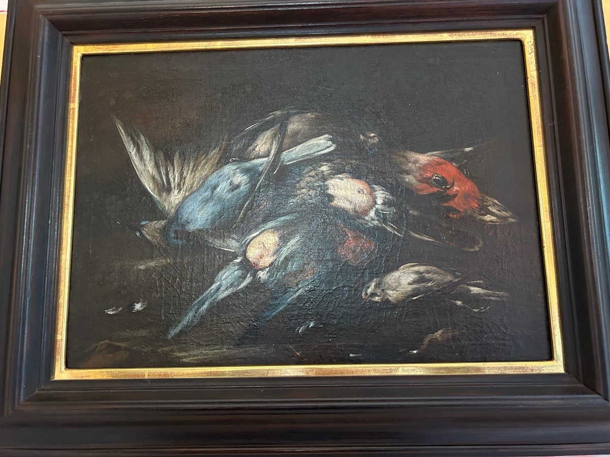 Baldassare De Caro (att.) «  Still Life With Birds » 18th Century.-photo-5