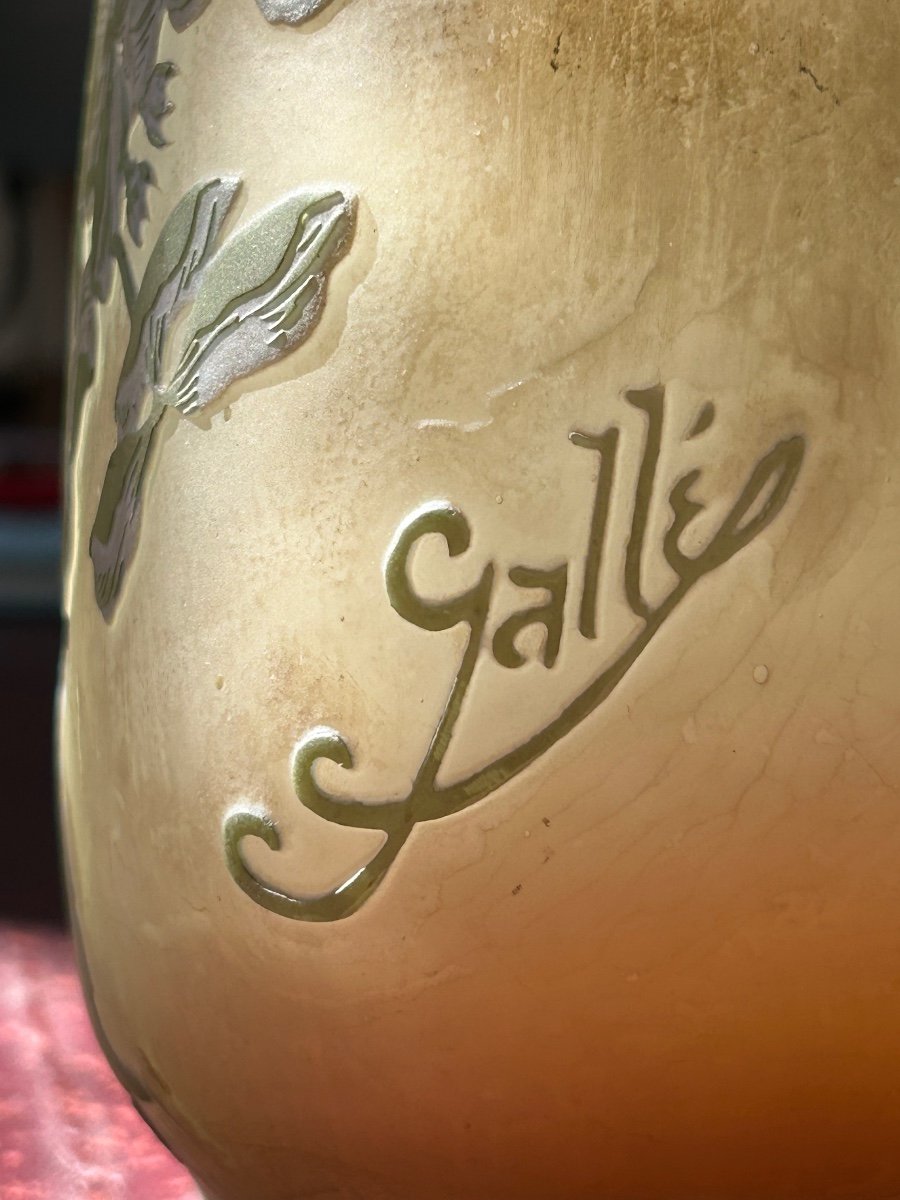 Vase Gourde d ‘Émile Gallé  au Décor D’hydrangea-photo-1