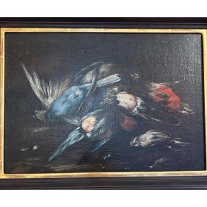 Baldassare De Caro (att.) « nature Morte Aux Oiseaux » école Napolitaine XVIIIe.
