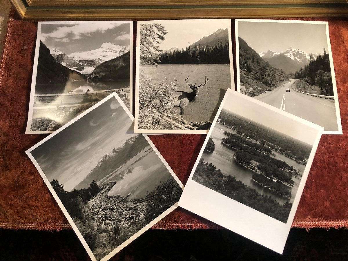 Photos Originales De Presse. Canada : Pêche, Nature, Villes Ect... Photos Des Années 1950/60-photo-2