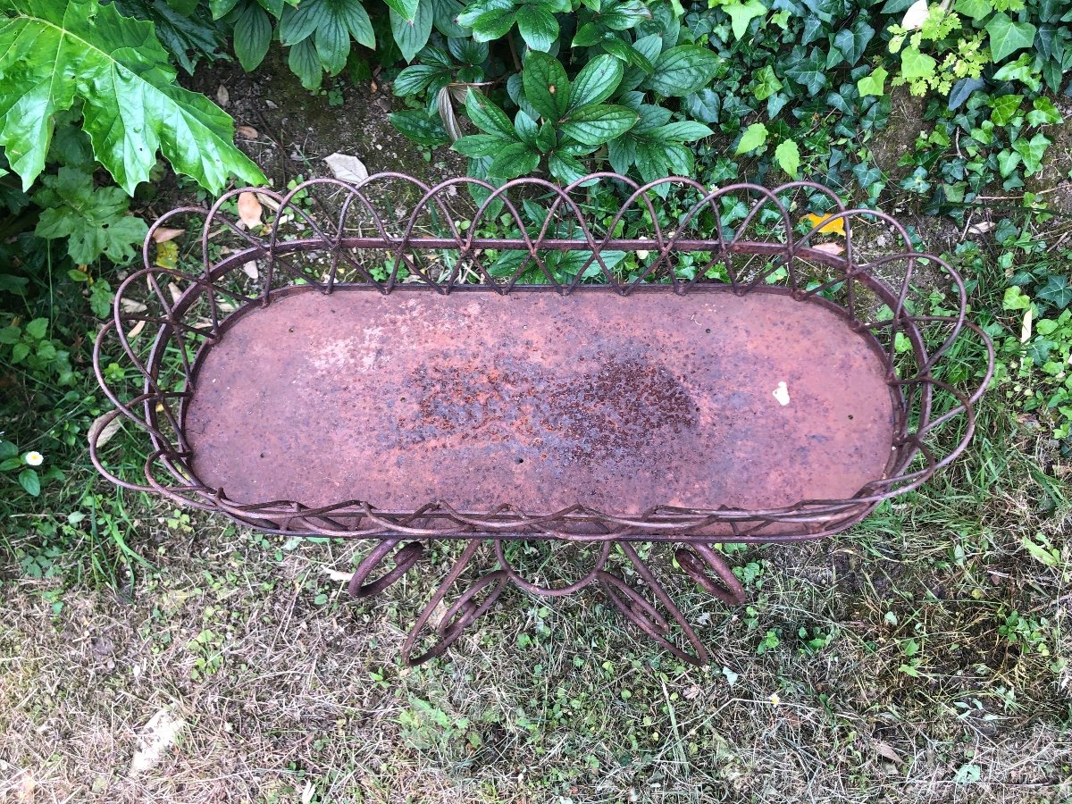 Iron Garden Planter. 19th Century -photo-2