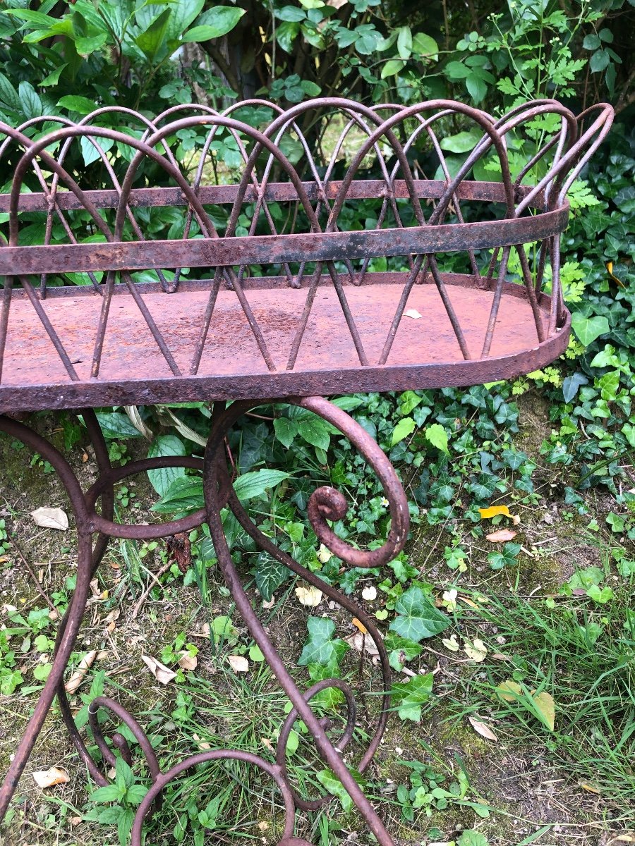 Iron Garden Planter. 19th Century -photo-3