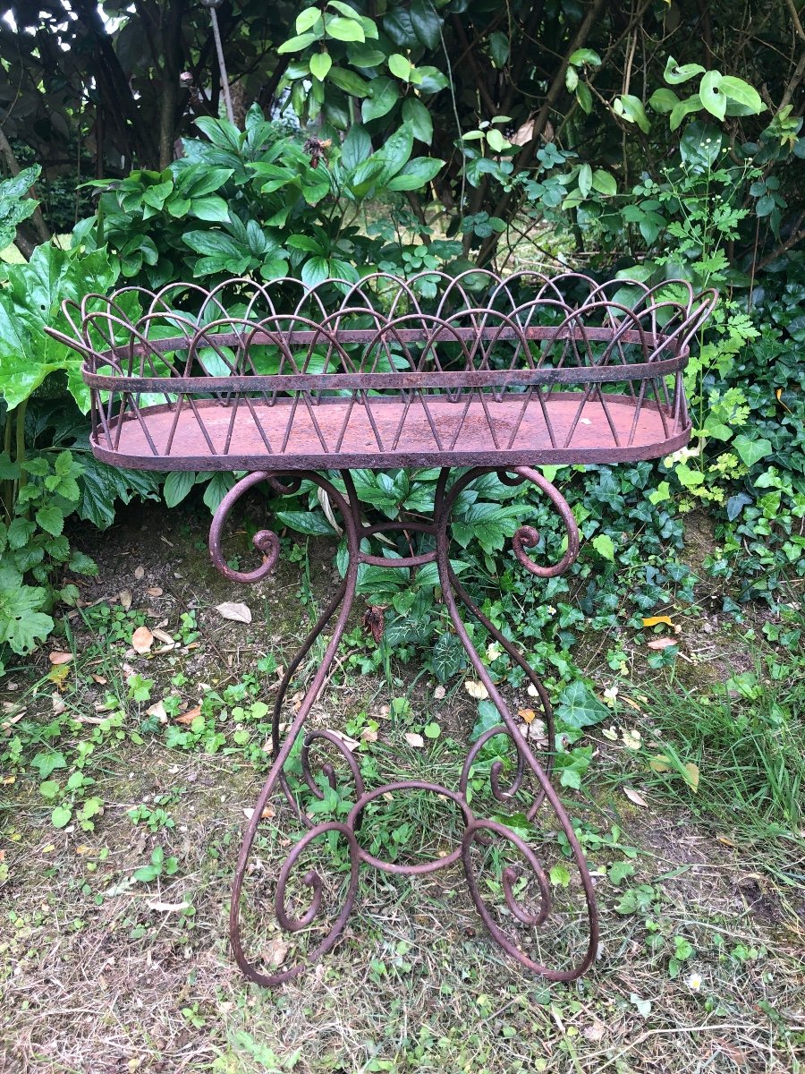 Iron Garden Planter. 19th Century 