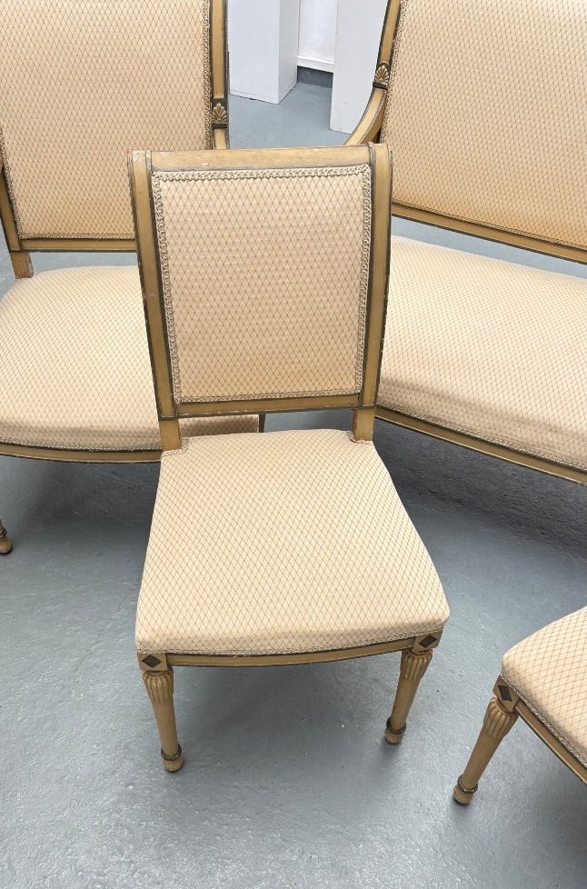Salon 5 pièces de Style Directoire néoclassique-photo-3