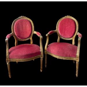 Paire de Fauteuils Médaillon Louis XVI