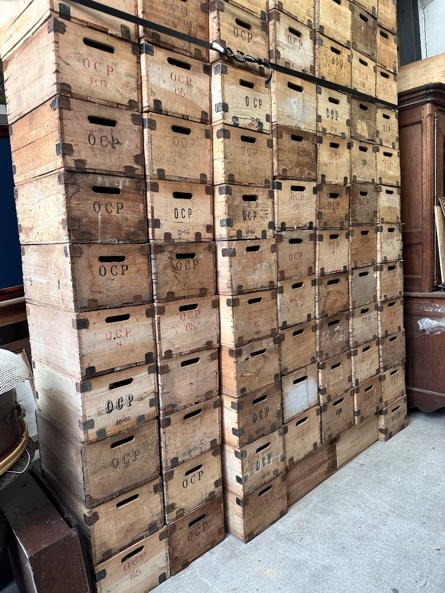 Important Lot De Caisses En Peuplier, Ocp (office Central Pharmacieutique)-photo-1